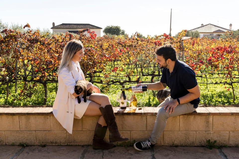 Malaga: Organic Vineyard Tour with 6 Wines, Tapas & Transfer - Key Highlights You Should Care About