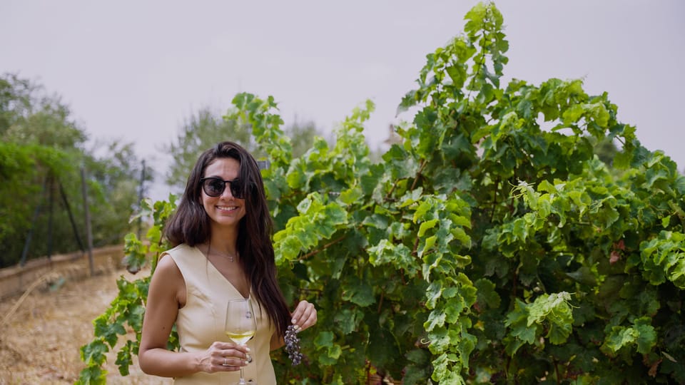 Malaga: Organic Vineyard Tour with 6 Wines, Tapas & Transfer - Organic Wine, Private Estate, Real Farming: What Makes This Tour Different?