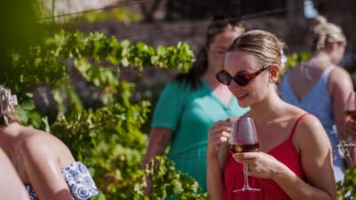 Malaga: Organic Vineyard Tour with 6 Wines, Tapas & Transfer - Price and Value for the $112 Ticket