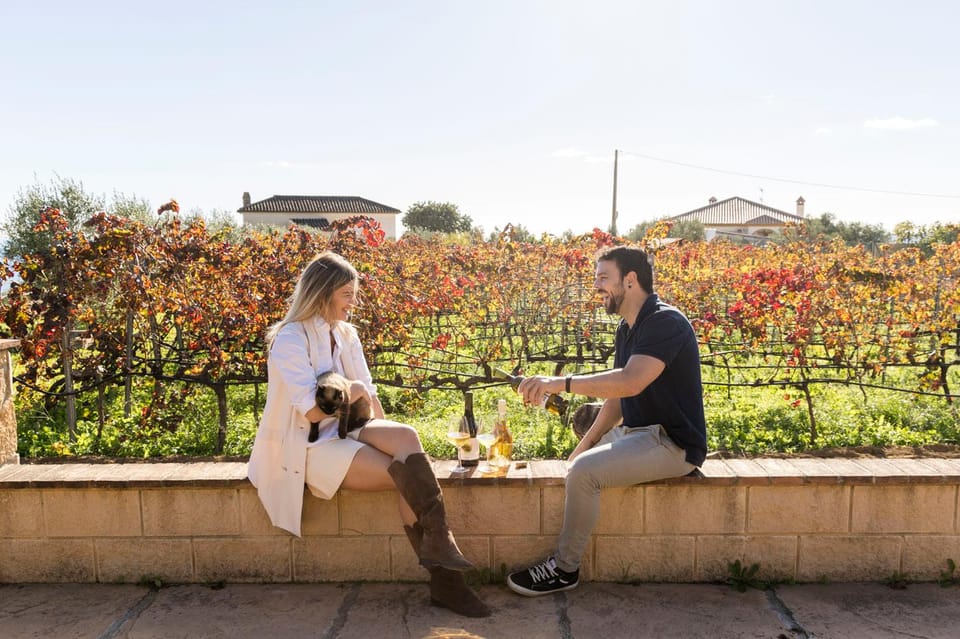 Malaga: Organic Vineyard Tour with 6 Wines, Tapas & Transfer - Viñedo Malvajio Vine Walk: Organic Viticulture Up Close