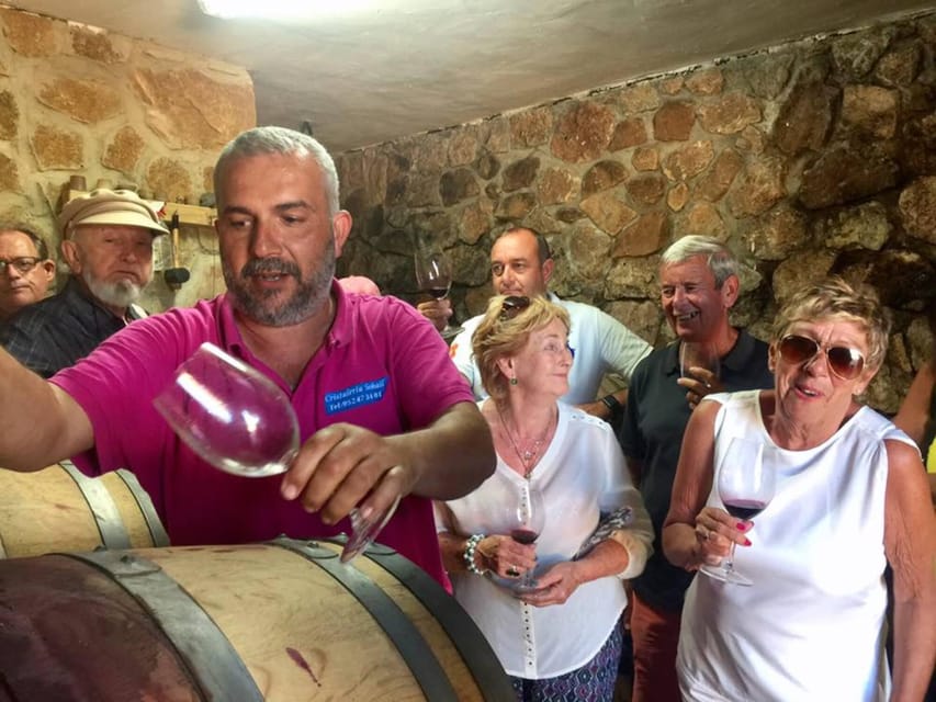 Malaga: Organic Vineyard Tour with 6 Wines, Tapas & Transfer - Inside the Garage Winery: Barrel Tasting Like a Working Producer