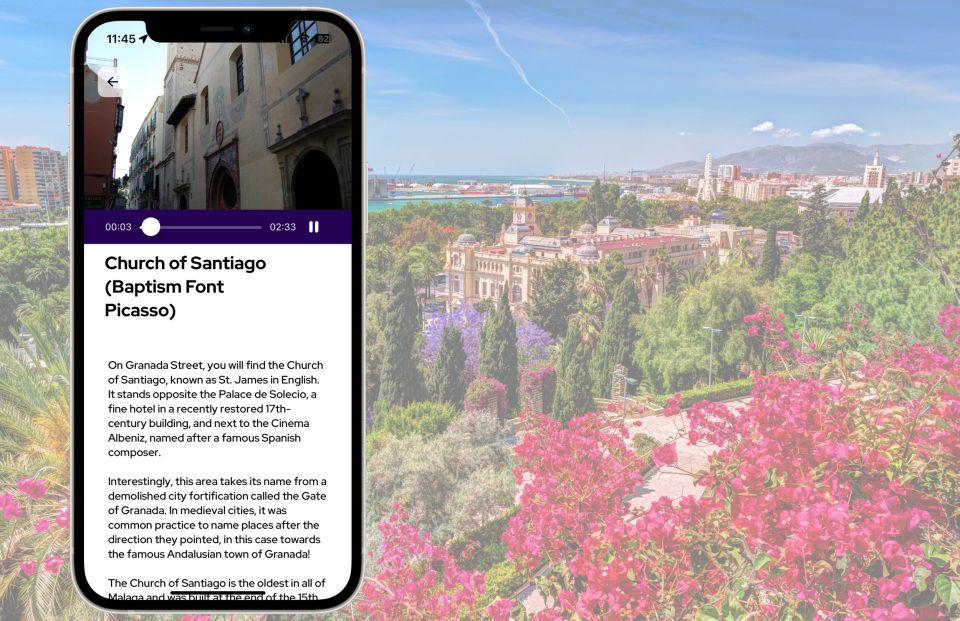 Málaga: Picasso Birthplace Museum Ticket & City Audio Guide - Museo Casa Natal de Picasso: what you really get for your ticket