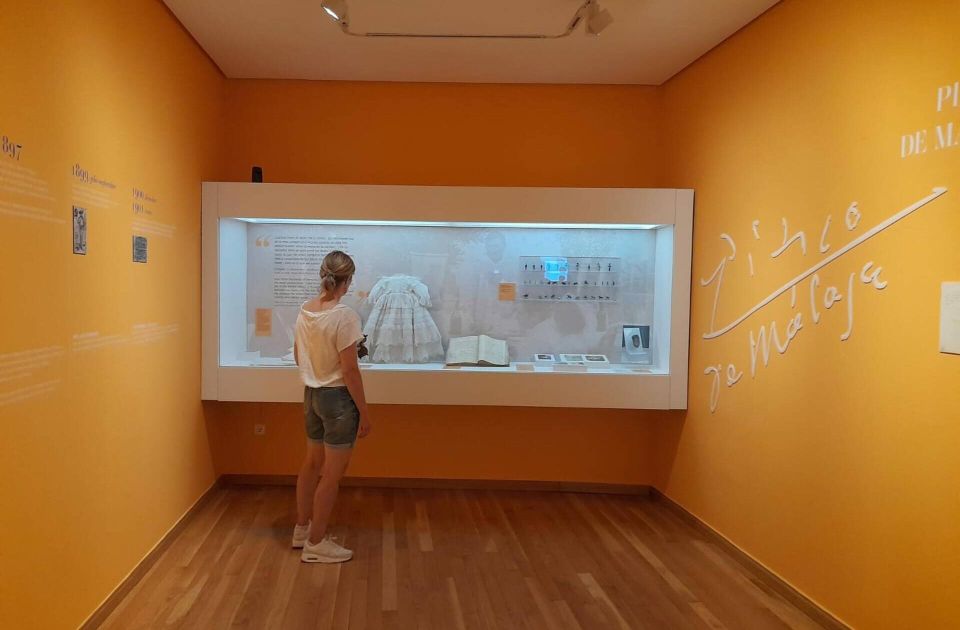Málaga: Picasso Birthplace Museum Ticket & City Audio Guide - Using the Vox City International audio guide without getting stuck