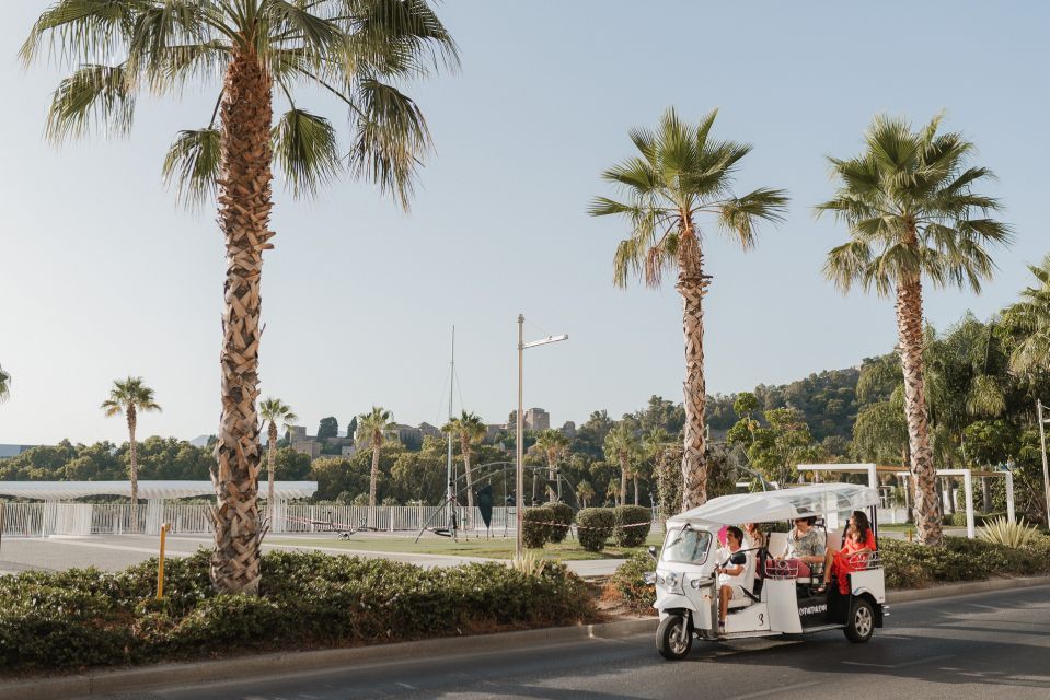 Malaga: Private City Tour by Eco Tuk Tuk - Who should book this tour