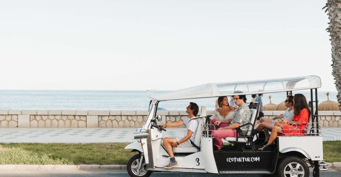 Malaga: Private City Tour by Eco Tuk Tuk - Why this electric tuk tuk tour fits Malaga so well