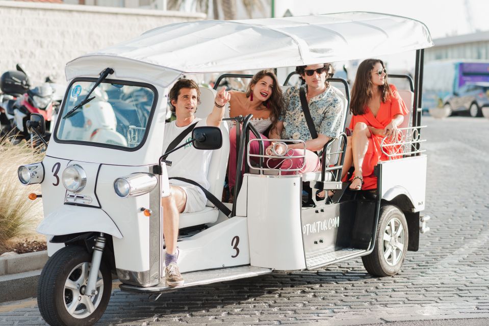 Malaga: Private City Tour by Eco Tuk Tuk - Price and value: why $28 per person often feels fair