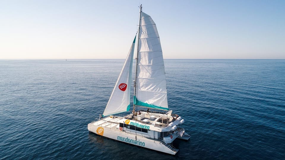 Malaga: Sailing Catamaran with Swimming and Paella Lunch - Service Style: Crew Attention, Cleanliness, and a No-Stress Rhythm