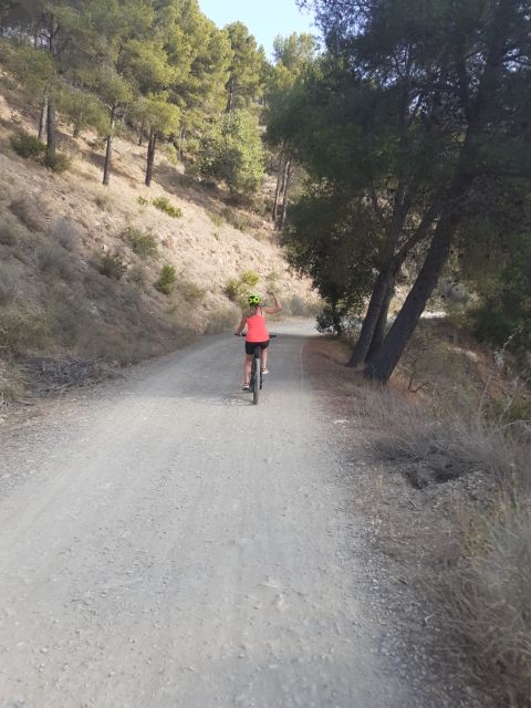 Málaga: Scenic Easy 3-Hour E-Bike Tour in Montes de Málaga - Why Montes de Málaga on an E-Bike Works in 3 Hours