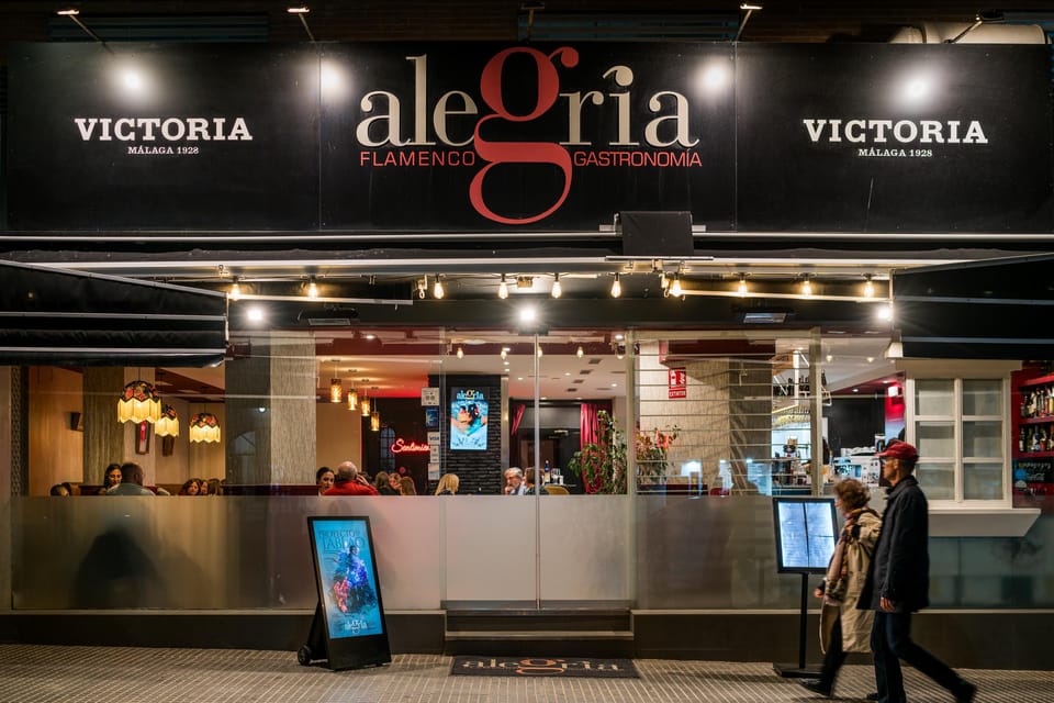 Malaga: Show and Food at Alegría Flamenco and Restaurant - Views and comfort: lounge or terrace before the theater