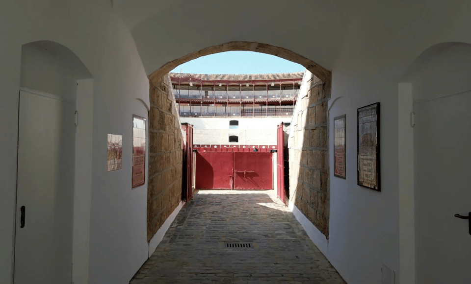 Malaga: Tour of Malagueta Bullring & Immersive Exhibition - Key highlights worth your time