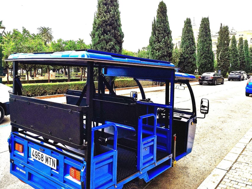 Malaga: Tuk tuk tour - Quick hits before you go