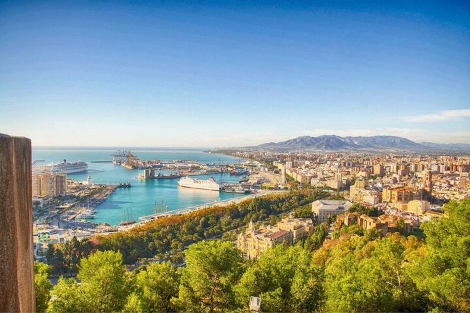 Malaga: Walking Tour of Must-See Attractions - Malaga Museum area: Fine Arts and Archaeology in one stop