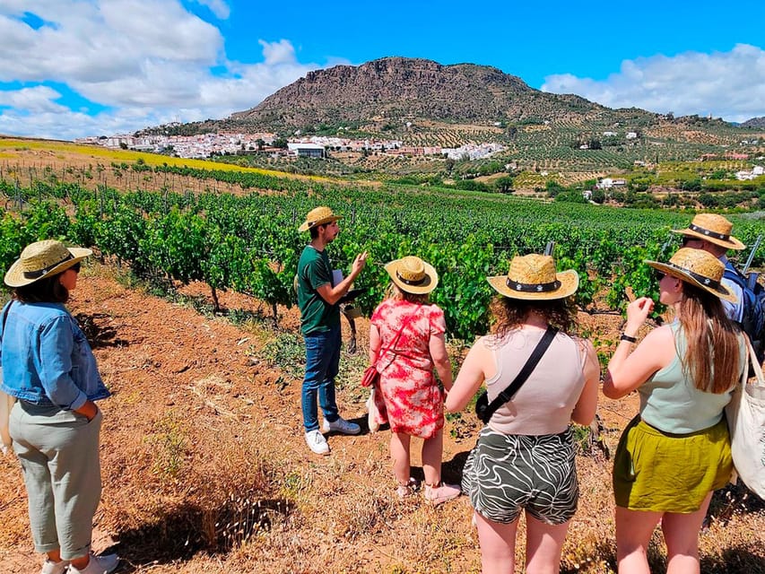 Malaga: White Village, Vineyard, and Wine Tasting Wine Tour - Key things I’d circle on your map