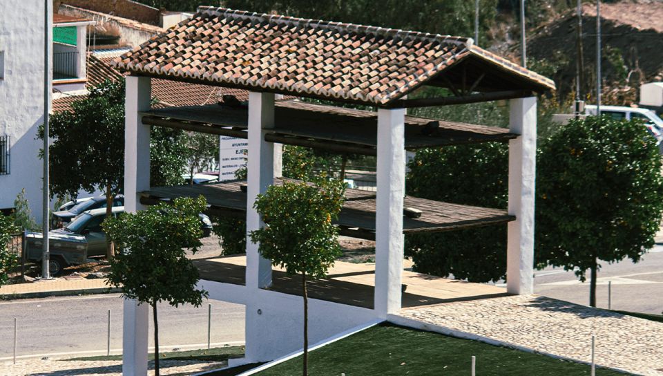 Malaga: White Village, Vineyard, and Wine Tasting Wine Tour - What to bring (so you enjoy it, not just survive it)