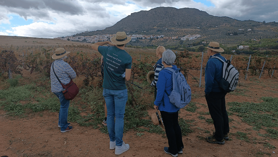 Malaga: White Village, Vineyard, and Wine Tasting Wine Tour - Museum of Álora and the Muslim Castle: history you can see