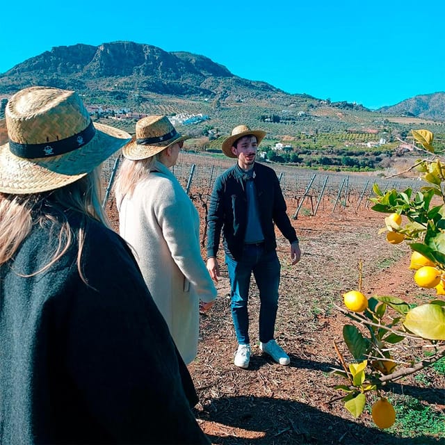 Malaga: White Village, Vineyard, and Wine Tasting Wine Tour - Group size feels small for a reason: easier pace, better attention