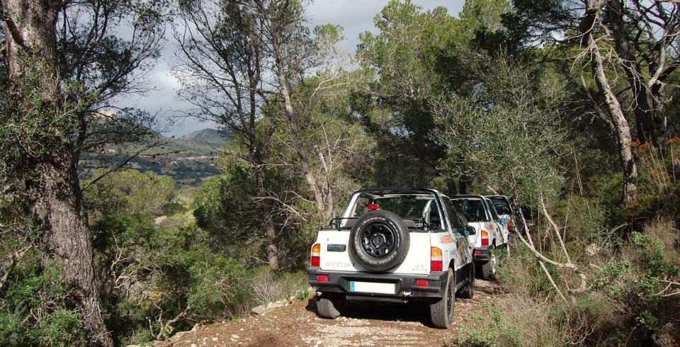 Mallorca: Beach and Mountain 4X4 Tour - Why this 3-hour Mallorca 4x4 tour is great value