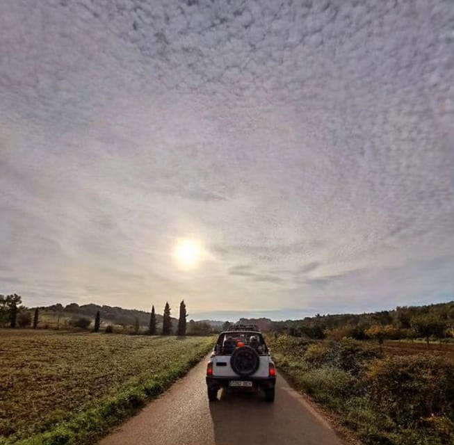 Mallorca: Beach and Mountain 4X4 Tour - Cala Murada: a swim stop that actually fits into the plan