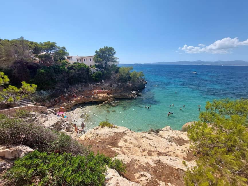 Mallorca: Buggy Tour Adventure with Cove Swimming - The decision call: should you book this near Palma?