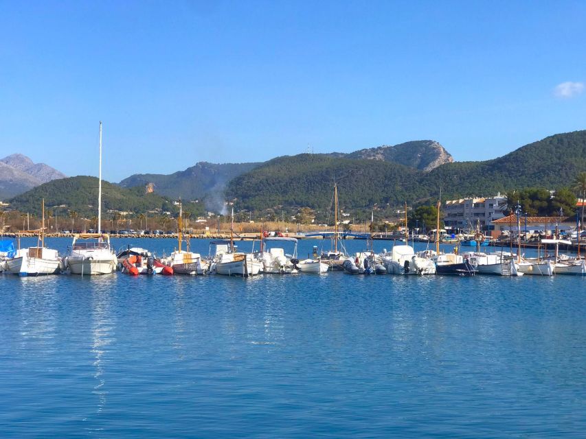 Mallorca: Coastal Cruise to Port of Andratx with swim stop - Key highlights you’ll care about