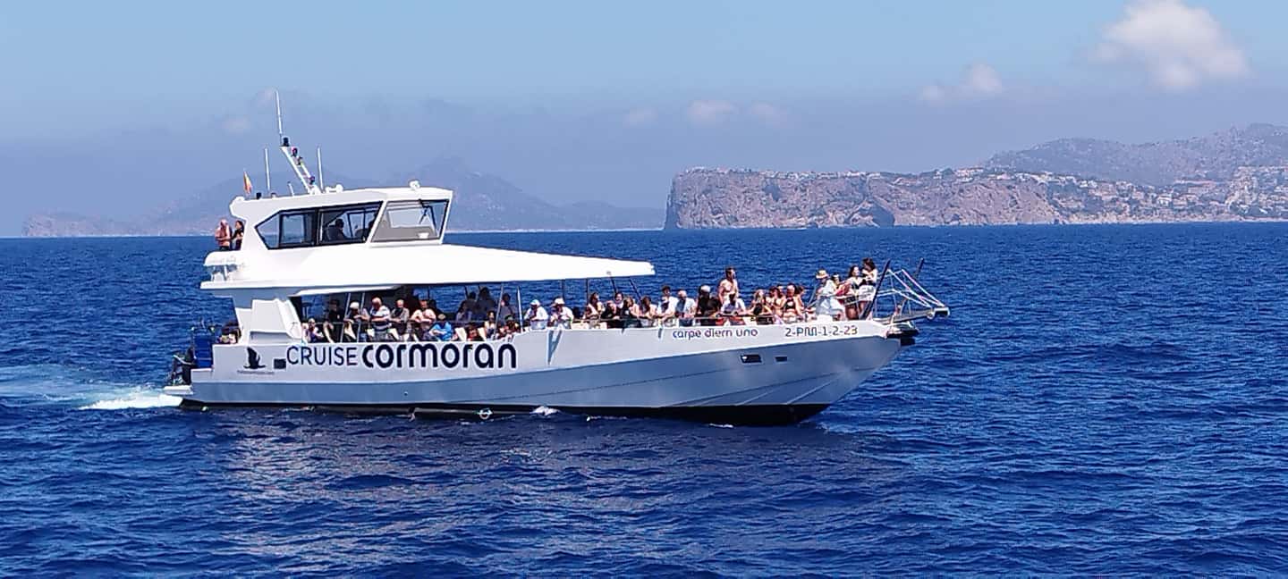Mallorca: Coastal Cruise to Port of Andratx with swim stop - Quick planning tips so your day feels smooth