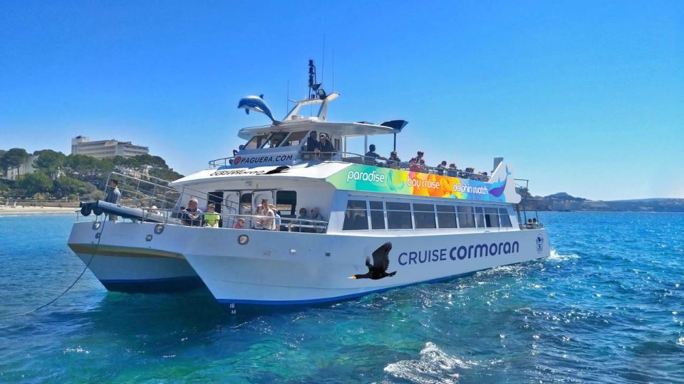Mallorca: Coastal Cruise to Port of Andratx with swim stop - Cala en Tió cave: the bonus stop you should hope for, not demand