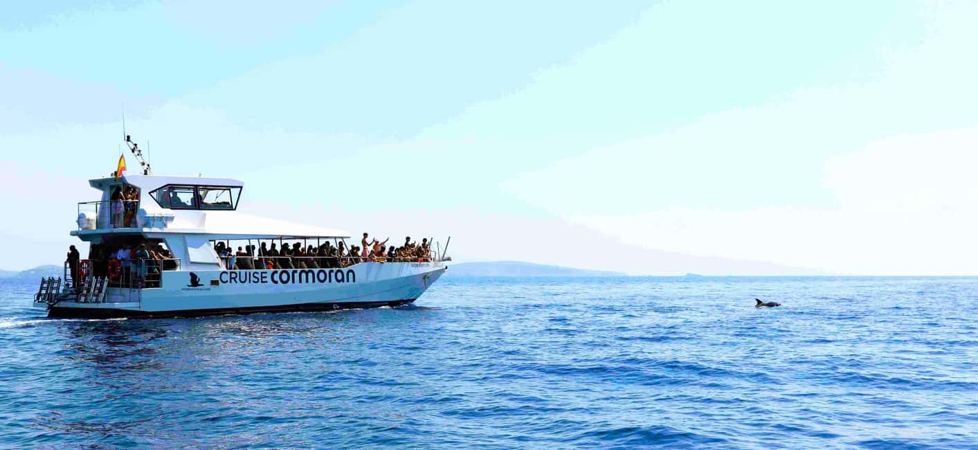 Mallorca: Coastal Cruise to Port of Andratx with swim stop - What’s included vs. what costs extra (and how that affects value)