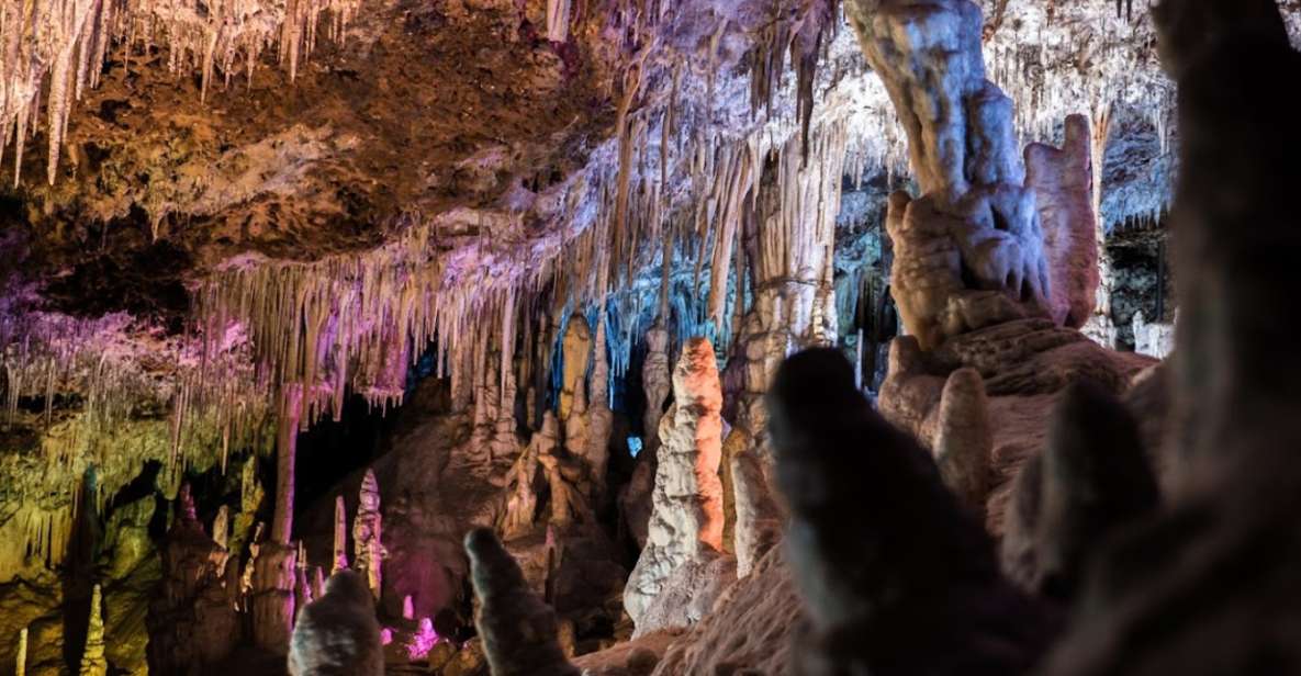 Mallorca: Day Trip to Caves of Hams & Optional Dinosaurland - Caves of Hams: What You’ll Really See Underground