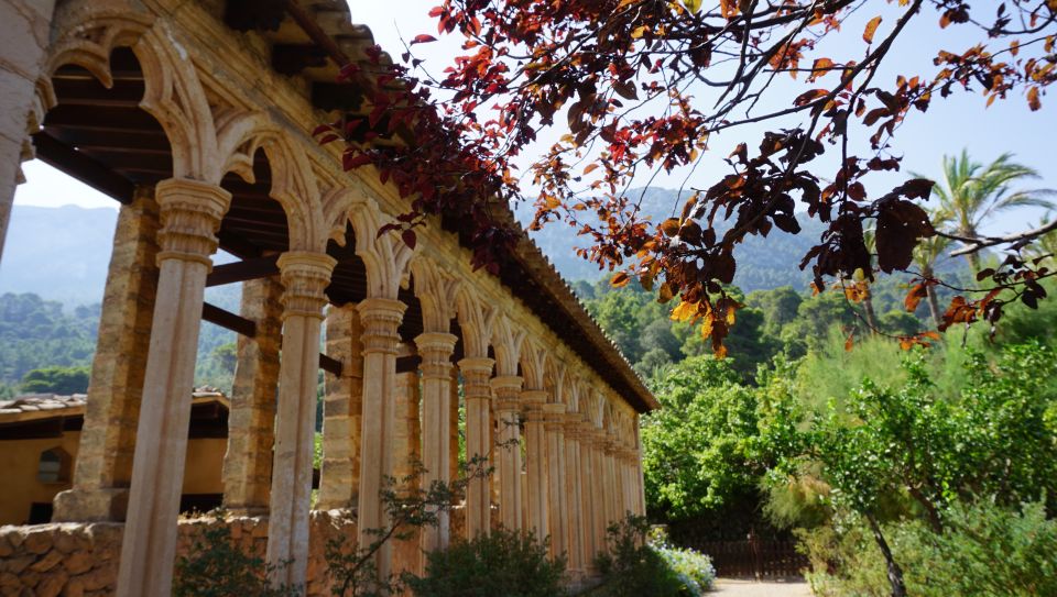 Mallorca: Day Trip to Hidden Gems of Tramuntana with Lunch - Lunch in Mallorca: pa amb oli plus gató, done the classic way
