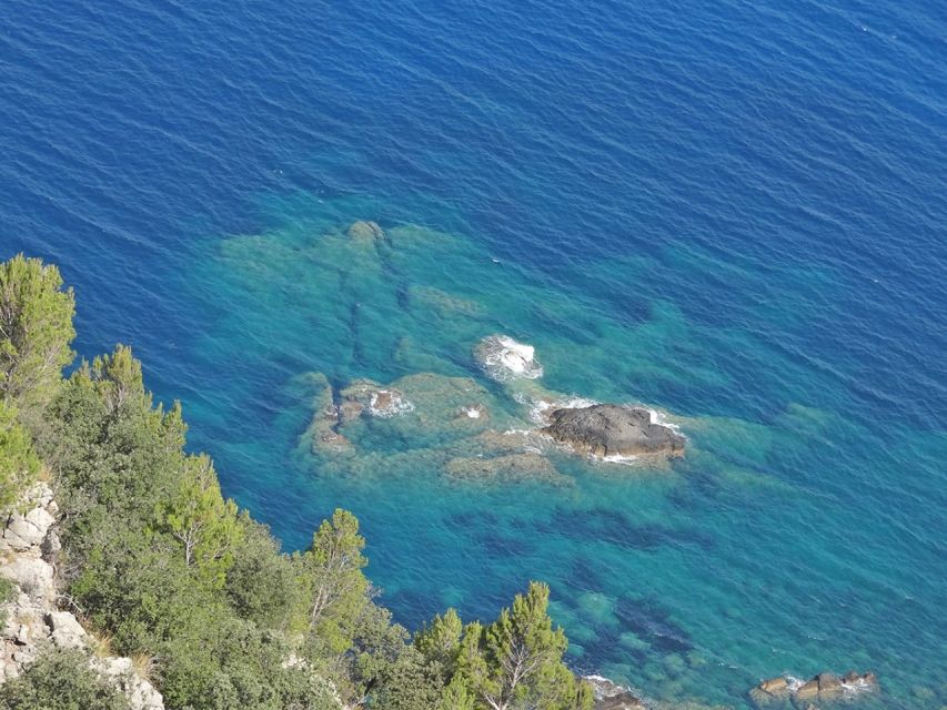 Mallorca: Day Trip to Hidden Gems of Tramuntana with Lunch - The guide makes a difference (and people notice)