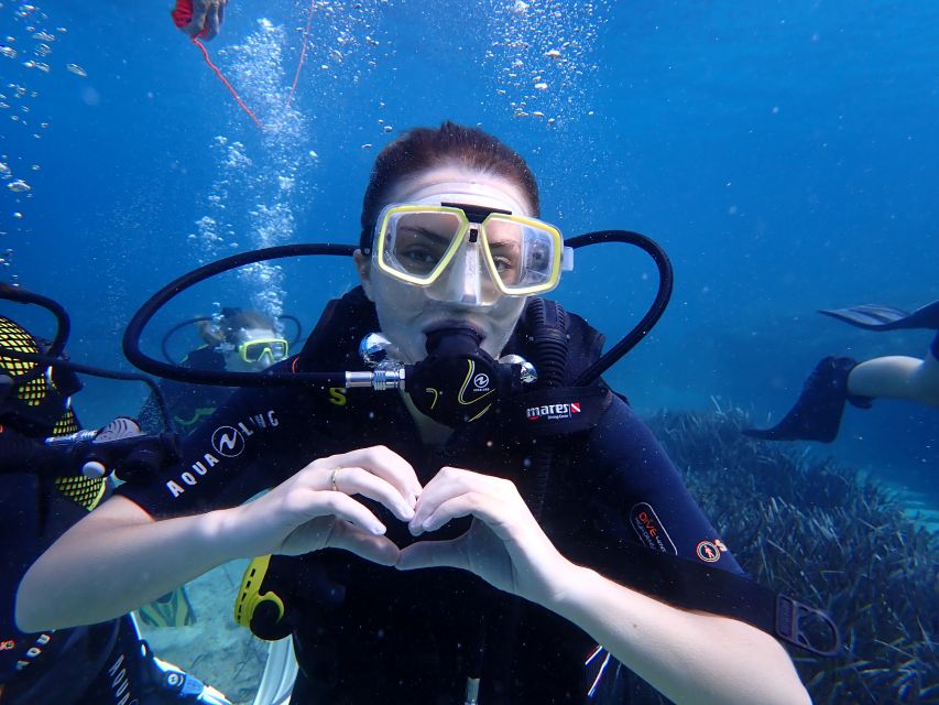 Mallorca: Discover Scuba Diving for Beginners - Why Mallorca’s protected reserve is great for your first underwater session