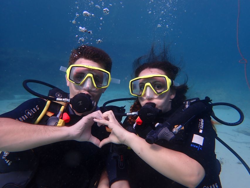 Mallorca: Discover Scuba Diving for Beginners - What you’ll see under the surface (and the fish reality check)