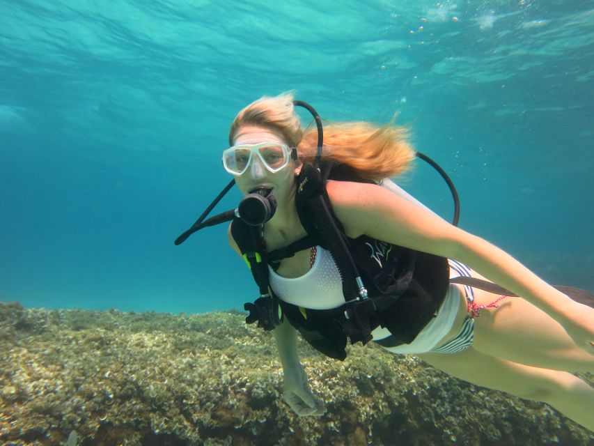 Mallorca: Discover Scuba Diving for Beginners - Meeting points: arrive early so you don’t miss the van