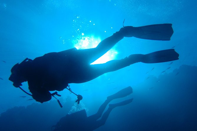 Mallorca: Discover Scuba Diving from the boat - Mallorca timing and meeting point: keeping it easy