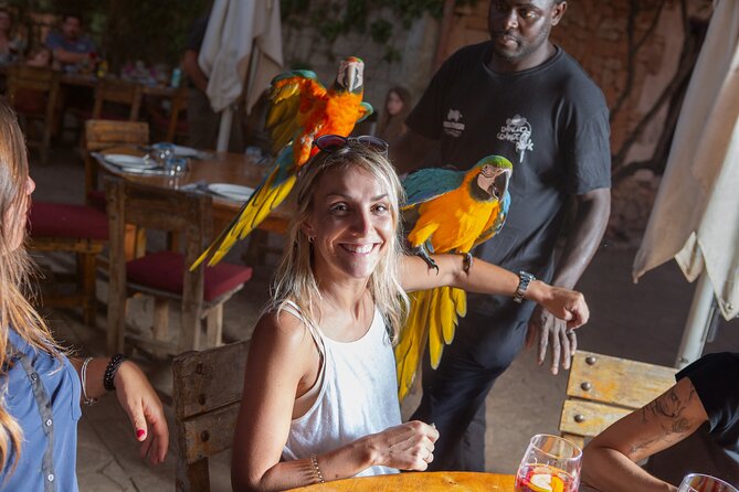 Mallorca Evening Tour: Horseback Riding, Dinner and Dance - Price and value: is $129.13 worth it?