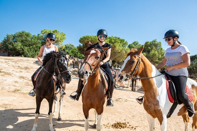 Mallorca Evening Tour: Horseback Riding, Dinner and Dance - Ride levels: walk, faster trots, gallop, and the option to skip the saddle