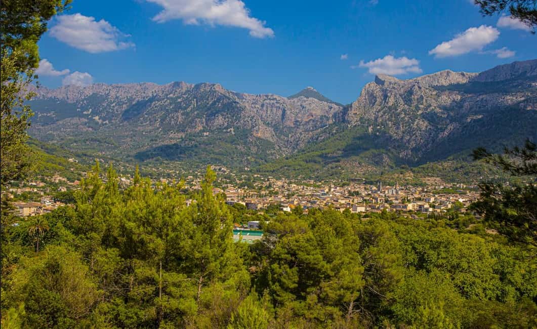 Mallorca: Exclusive Soller Train and Tram Half-Day Tour - Guide-led organization: why Katarina’s role matters