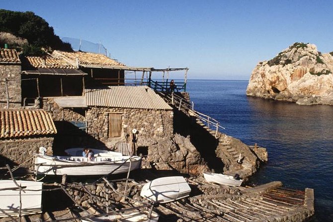 Mallorca Full Day Tour by Train, Tram and Boat - Port de Sóller: Orange blossom vibes, plus the tram