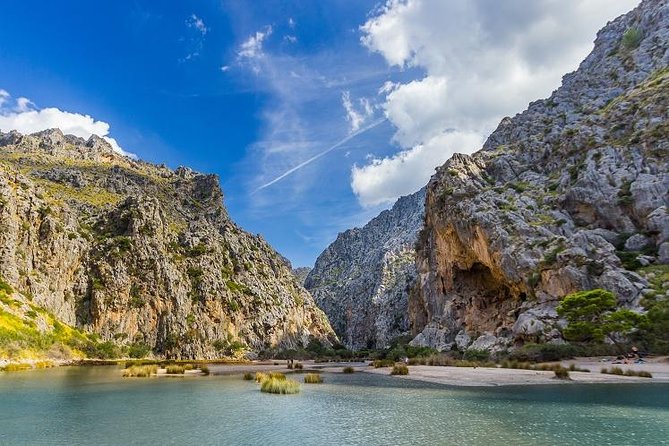 Mallorca Full Day Tour by Train, Tram and Boat - Price and Logistics: What you’re paying for (and what can go sideways)