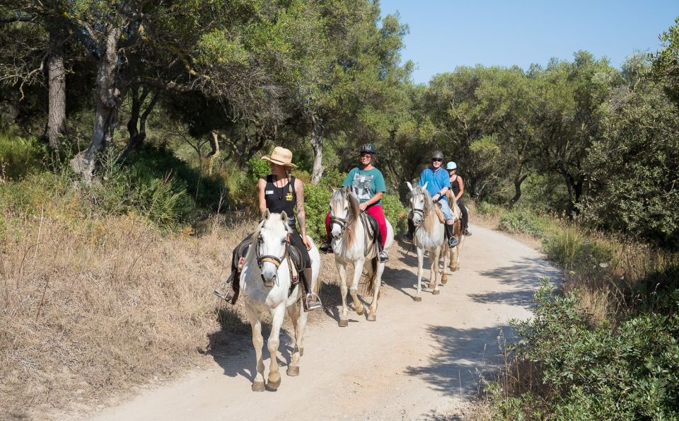 Mallorca: Horseback Riding Excursion and Wine Tasting - What makes this Mallorca ride-and-tasting combo worth your time