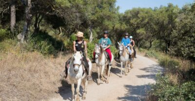 Mallorca: Horseback Riding Excursion and Wine Tasting - Getting there: northern Mallorca pickup or go straight to the ranch