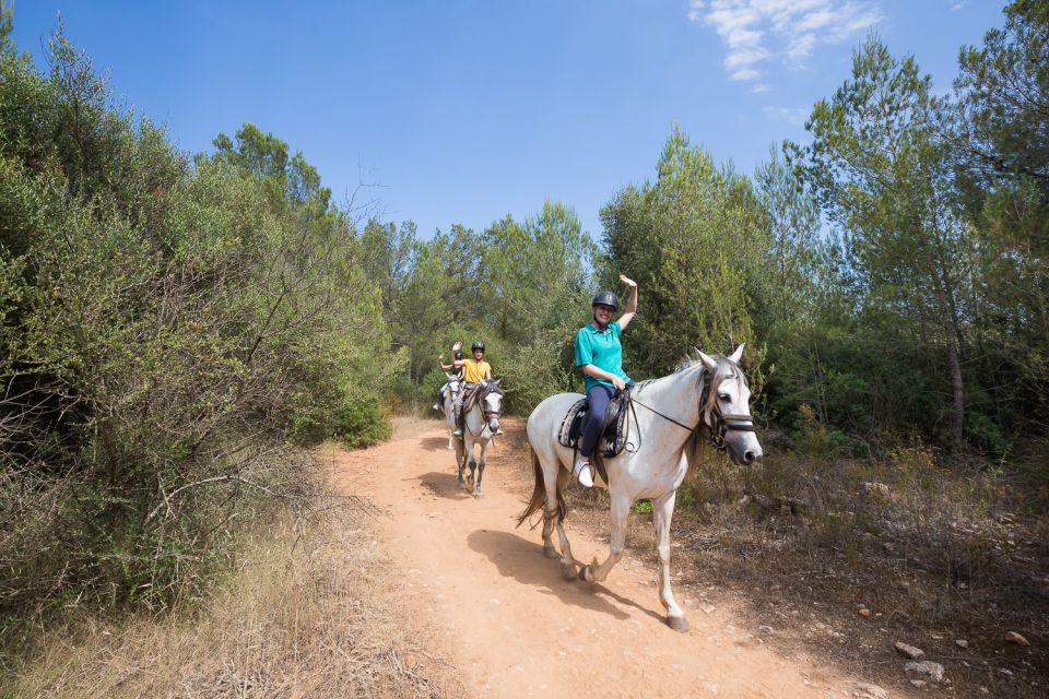 Mallorca: Horseback Riding Excursion and Wine Tasting - Safety and skill matching: calm horses and clear instructions