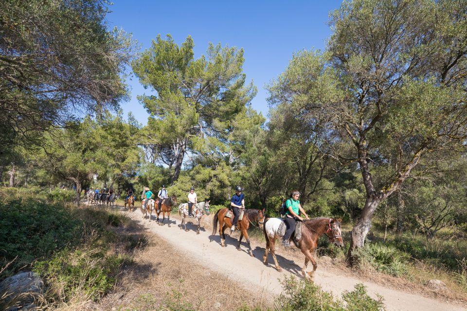Mallorca: Horseback Riding Excursion and Wine Tasting - What you’ll actually taste (and how to make it work for you)