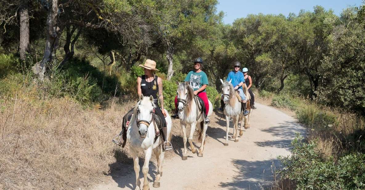 Mallorca: Horseback Riding Excursion and Wine Tasting - Getting there: northern Mallorca pickup or go straight to the ranch
