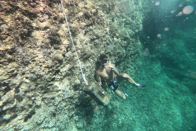 Mallorca: Kayaking, Sea Cave, Cliff Jumping & Snorkel Tour - The Half-Day Flow: Kayak, Cave Hunt, Cliff Jump, Snorkel, Picnic