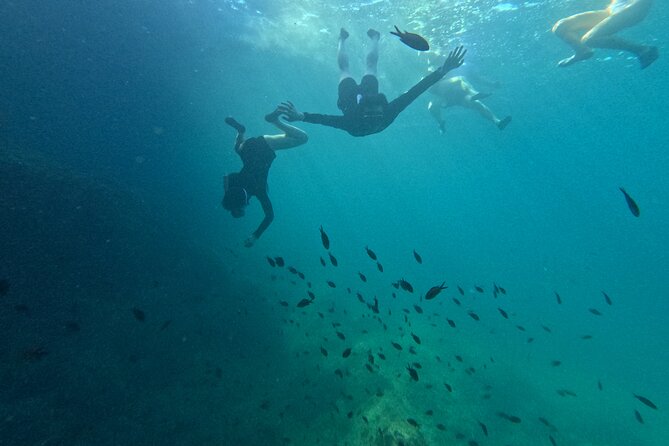 Mallorca: Kayaking, Sea Cave, Cliff Jumping & Snorkel Tour - Coastal Trek and the Optional Cliff Jump Spot