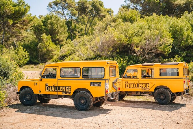 Mallorca: Kayaking, Sea Cave, Cliff Jumping & Snorkel Tour - Kayaking From Alcúdia’s Coast Toward the Marine Cave