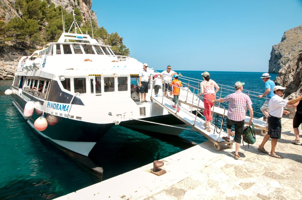 Mallorca: Scenic Full-Day Tour from the North - Port de Sóller tram: short ride, big mood
