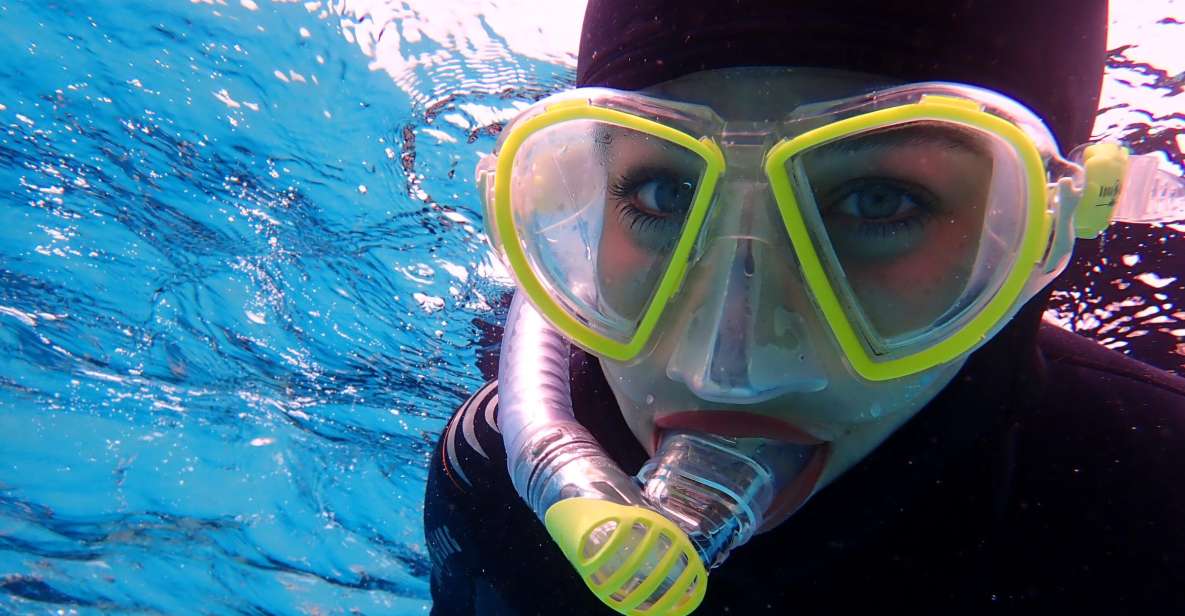 Mallorca: Snorkeling in a Beautiful Nature Reserve - Key points worth knowing before you go