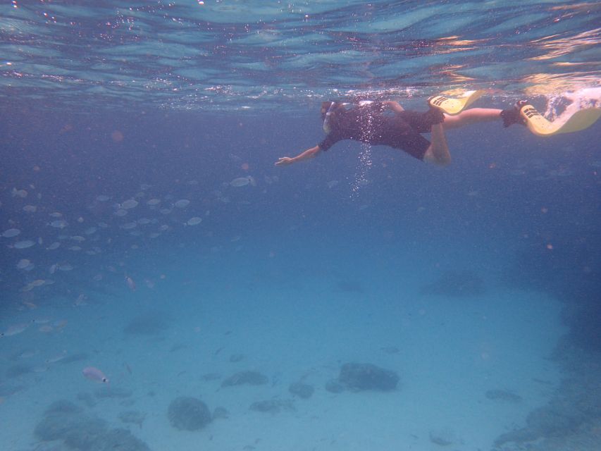 Mallorca: Snorkeling in a Beautiful Nature Reserve - Why this Mallorca snorkeling tour stays calm in a small reserve